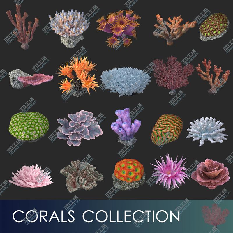 images/goods_img/20210113/corals collection 3D model/2.jpg